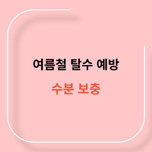 여름철 탈수 예방과 수분 보충11