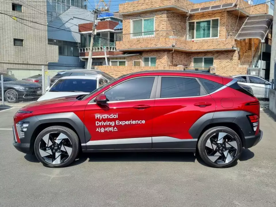 코나 옆모습입니다.