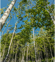 화담숲 예약 할인