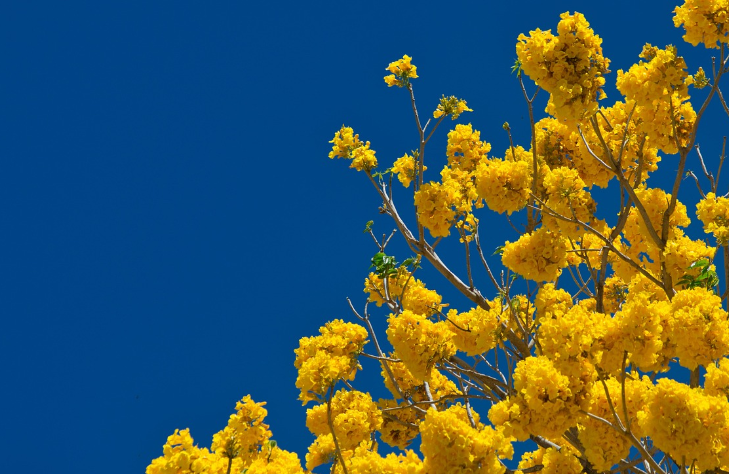 6월 여행하기 좋은곳 BEST 5