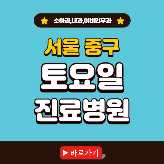 서울 중구 토요일 진료 병원 찾기 ❘ 주말 문여는 소아과, 내과, 이비인후과 리스트