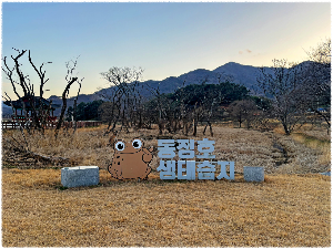 동정호