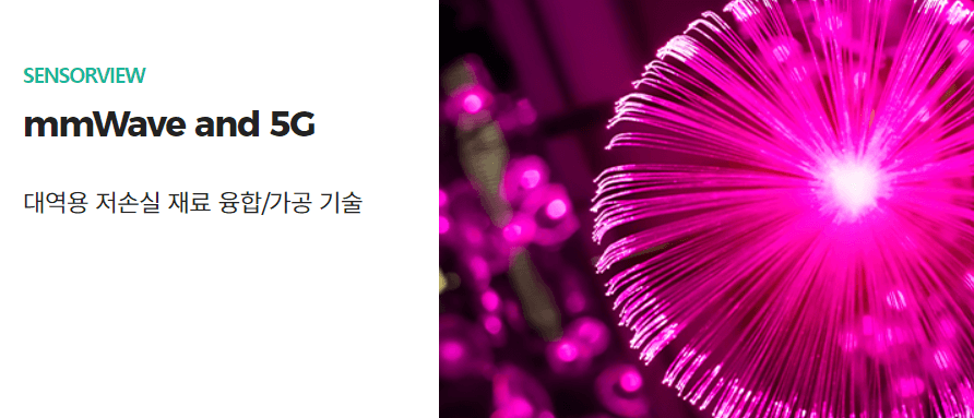 센서뷰 공모주 청약