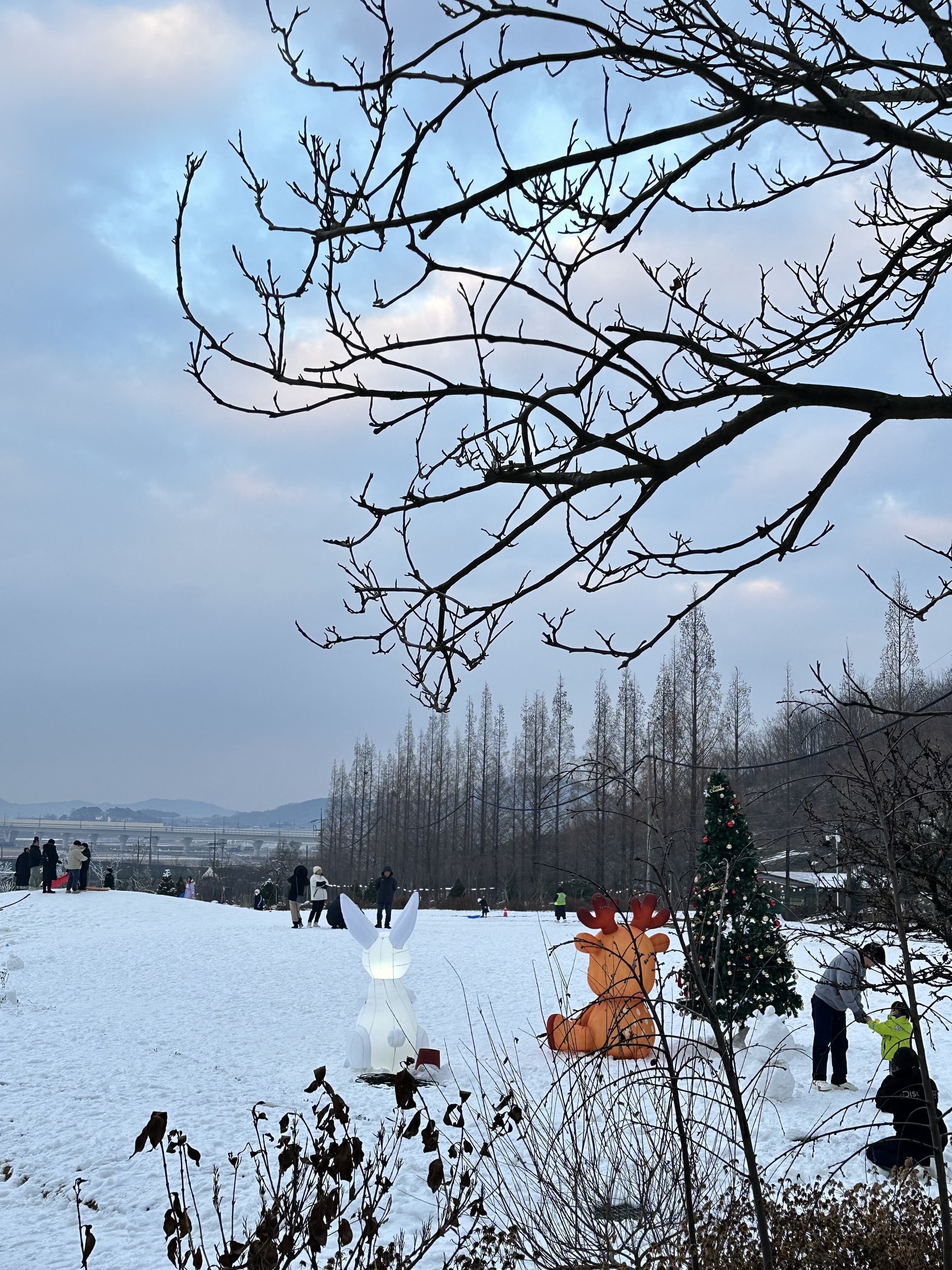 [충남 논산]사계절 내내 머물고 싶은 곳, 피나클랜드 수목원 이야기