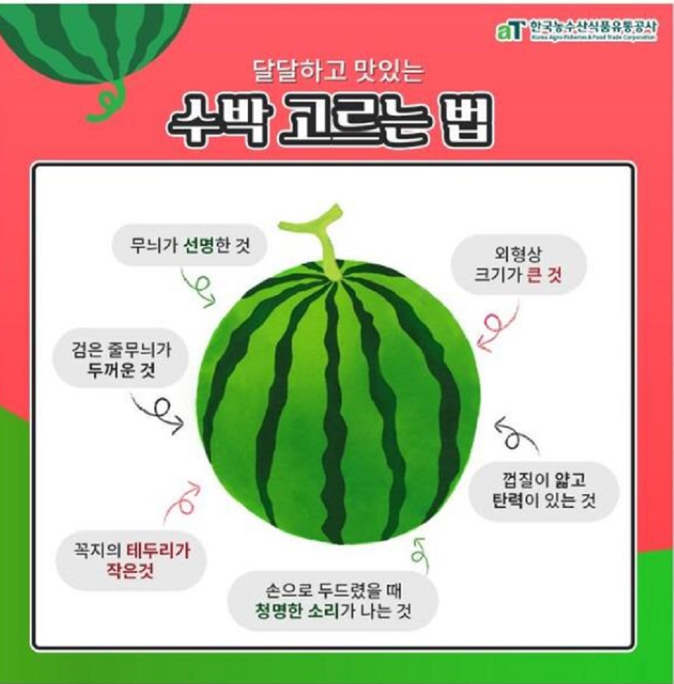 수박고르는법