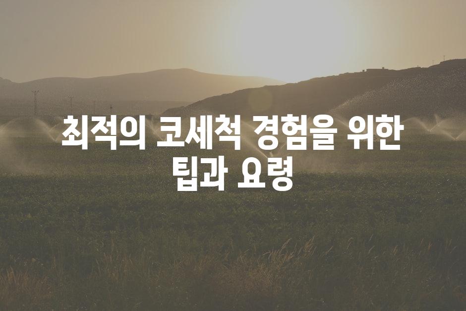 최적의 코세척 경험을 위한 팁과 요령