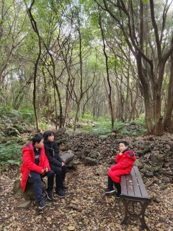 제주 곶자왈 숲길 산책 원시림 초록 힐링 여행_20