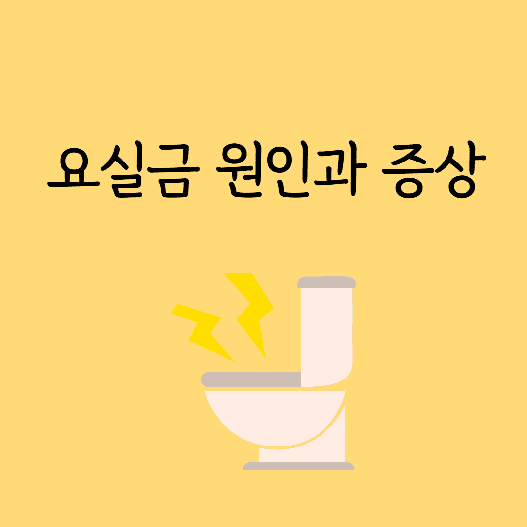 요실금 원인과 증상