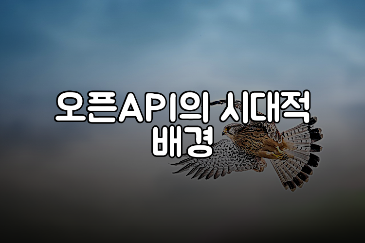 오픈API의 시대적 배경