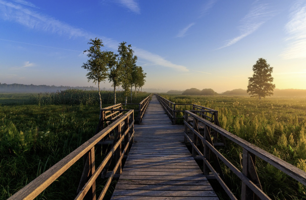 초록 물결 따라 걷는 여름 트레킹&하이킹 코스 추천