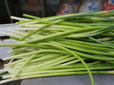 마늘쫑을 저울위에 놓고 재는 모습