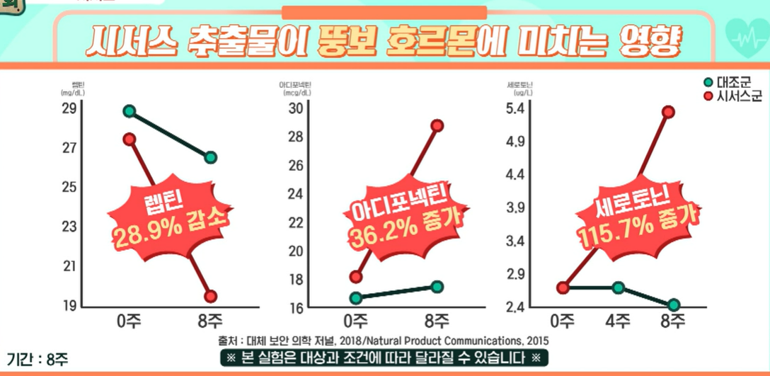 시서스 효능
