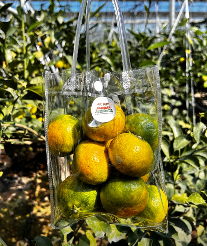 머시머시체험농장