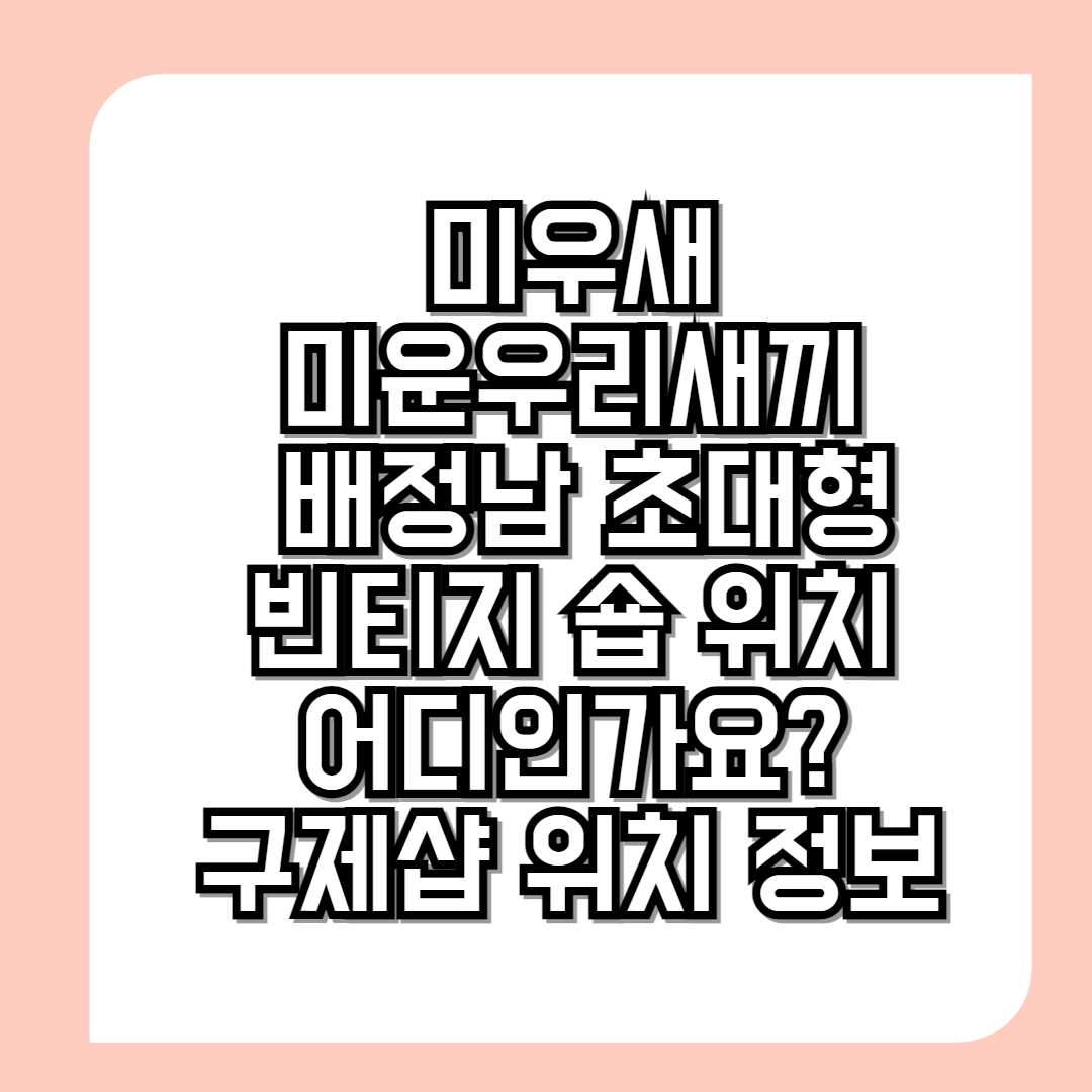 미우새-미운우리새끼-배정남-초대형-빈티지-숍-위치-어디인가요-구제샵-위치-정보