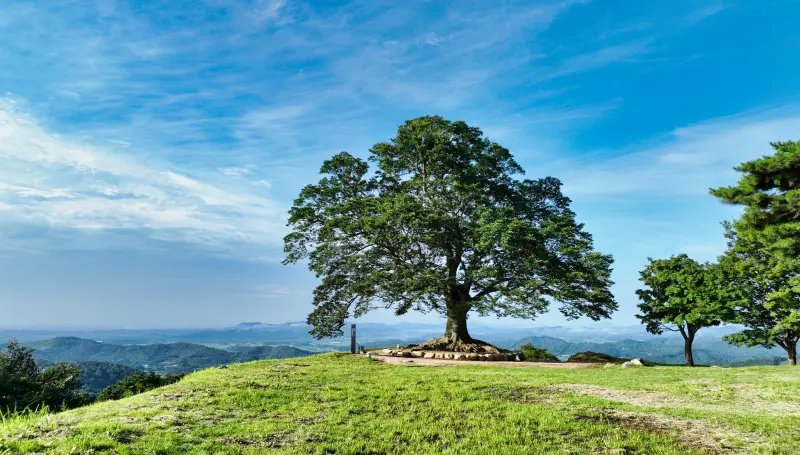 부모님과 떠나는 부여 효도 여행 코스