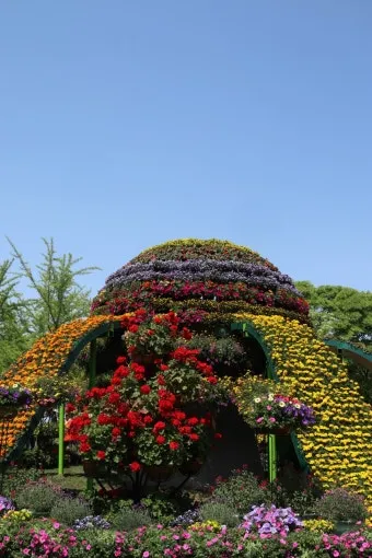 고양 꽃박람회 입장료 사전예약 가는길_12