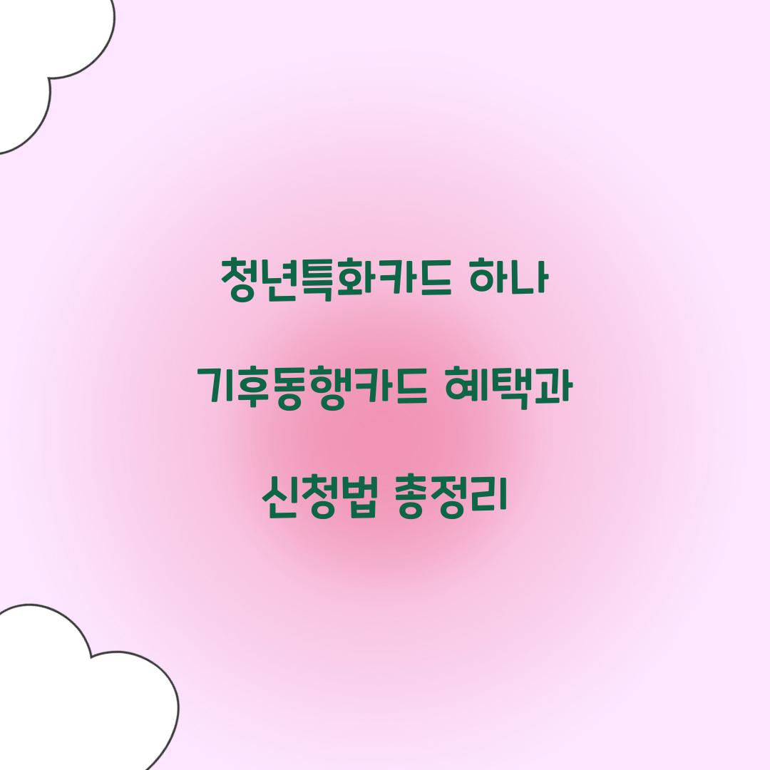 청년특화카드 하나 기후동행카드