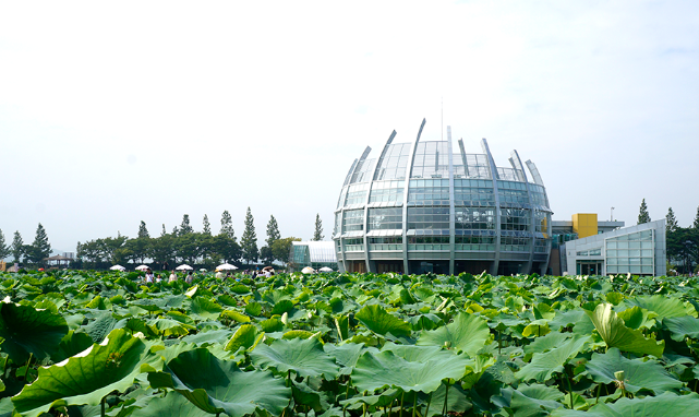 무안 읍내 생활비(1~4인) 상세 분석— 실제로 살아보면 얼마가 드는지 체감 기반으로 계산한 현실형 비용표