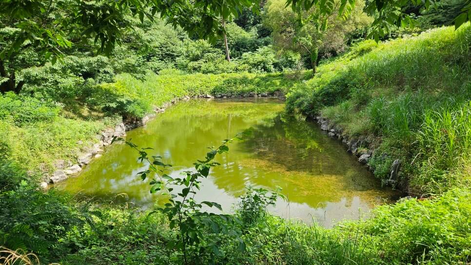 당진 신암사 : 보물 금동여래좌상과 고려의 숨결을 찾아서