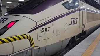 2025년 기준 SRT 예매 할인제도 완벽 정리!