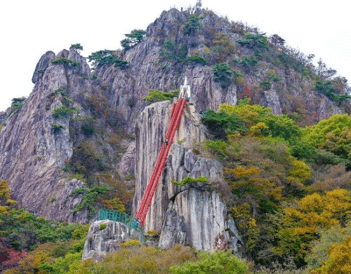 대둔산 케이블카 요금