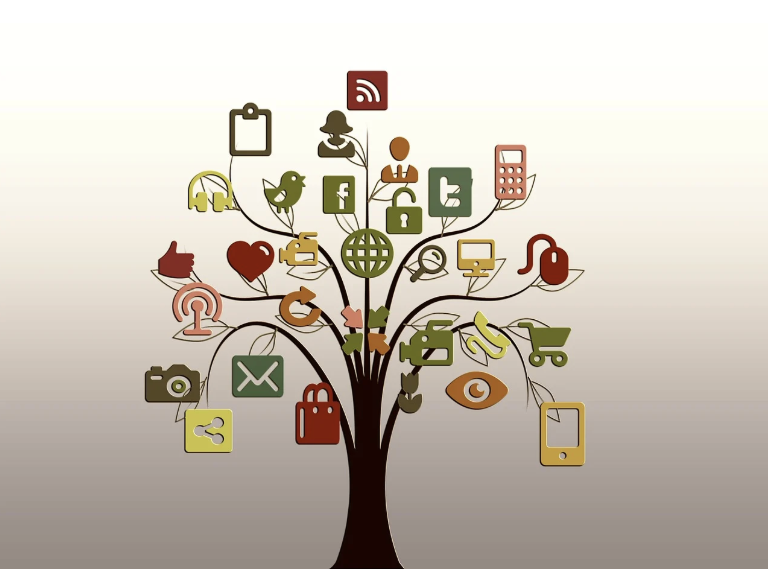 뇌가 알아서 일하는 시간: Default Mode Network와 멍