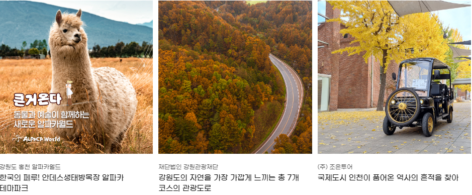 국내여행