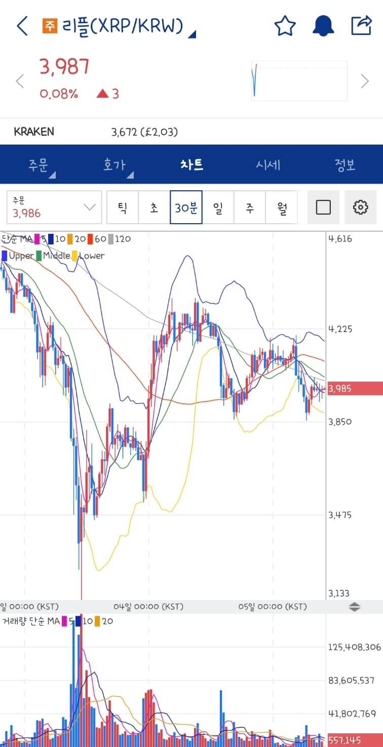 리플 시세 미국 전략 자산 확정