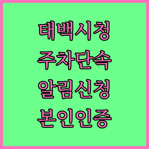 태백시청 주정차 단속 알림 서비스 홈..