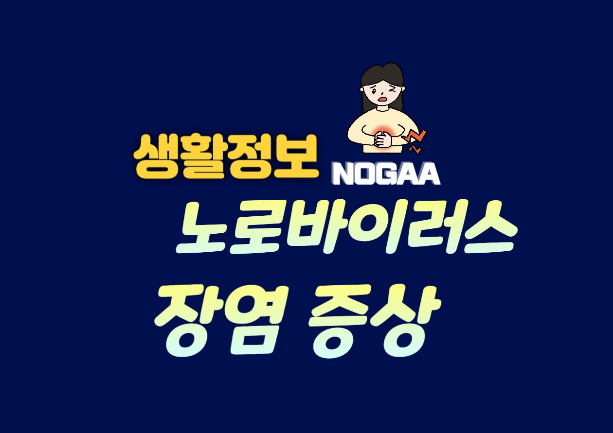 노로바이러스 장염 증상