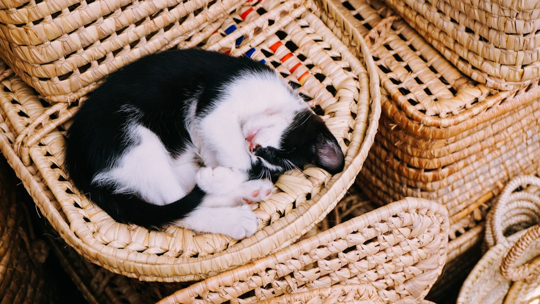 Nap