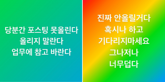 정용진 인스타 피드