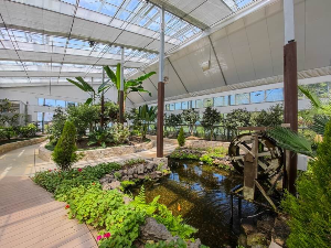 수목원 유리화원