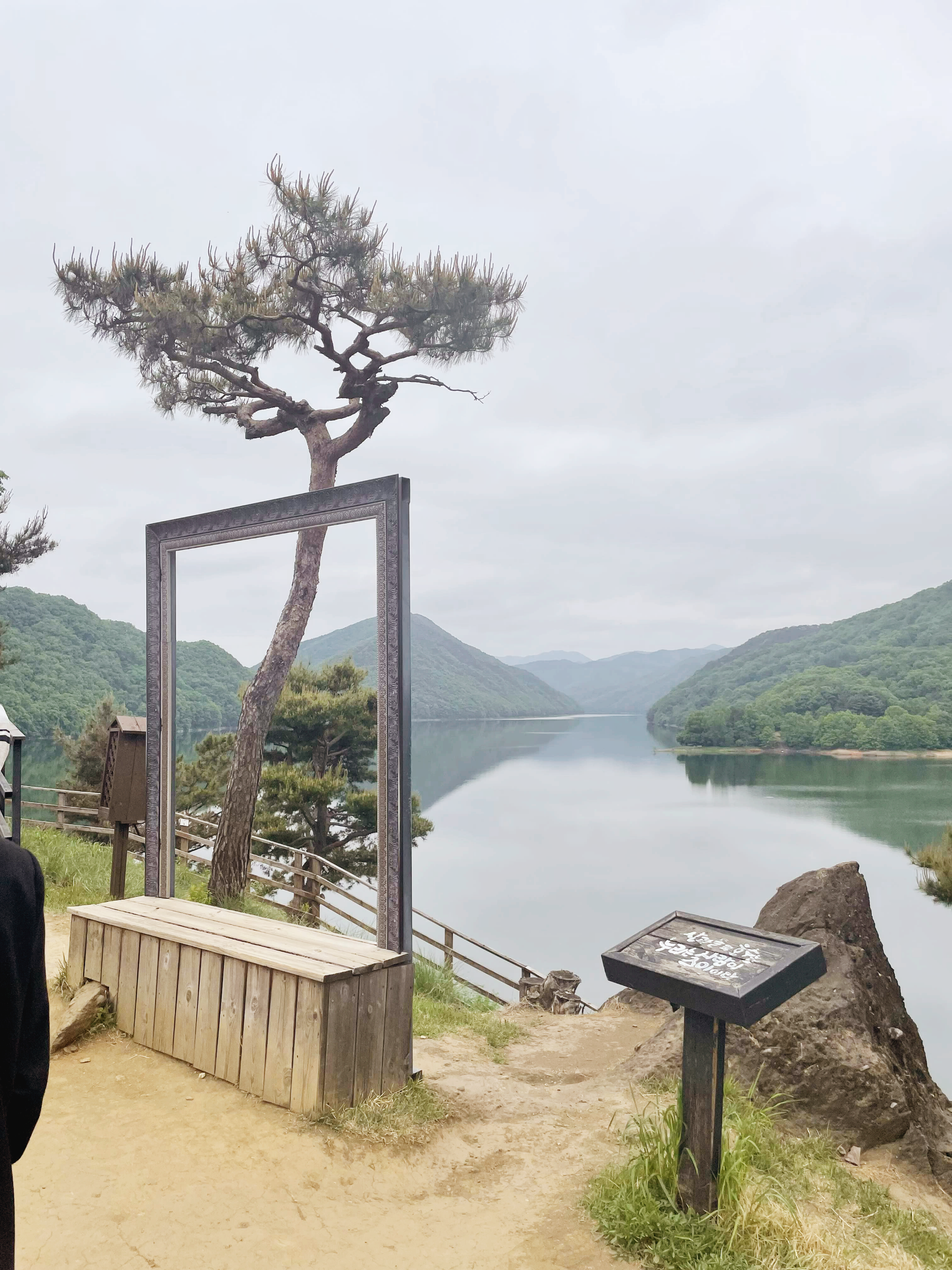 대전근교가보만한곳 옥천수생식물원