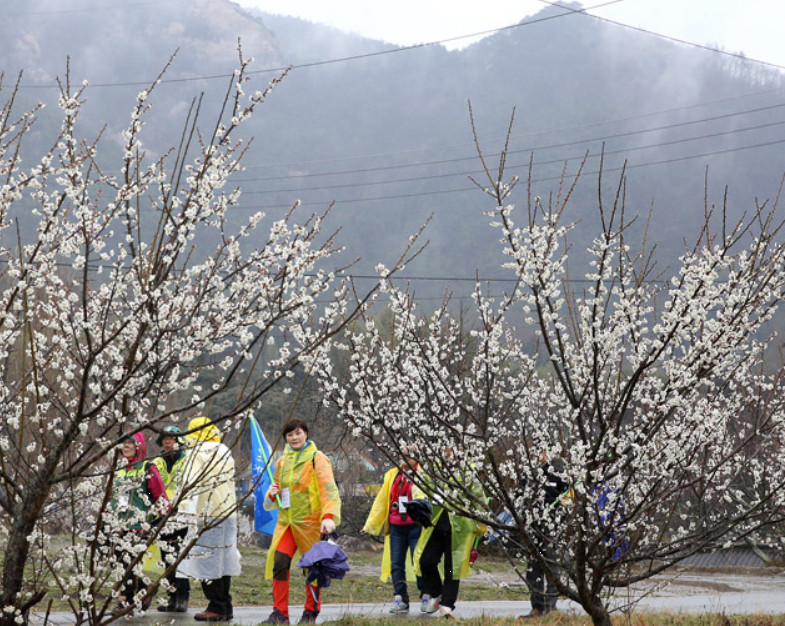 전남 강진 반값 여행 관광 할인 지원금 신청 방법