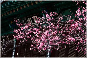 삼원구운 1~9운 설명과 사건사고 사례_20