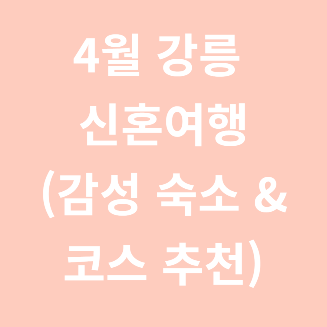 4월-강릉-신혼여행-감성-숙소-코스-추천-관련-사진