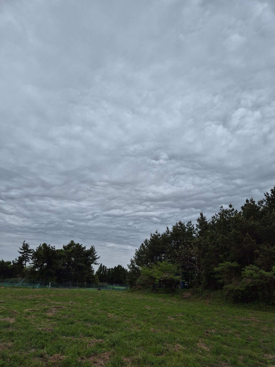 2025년 여성 장애인 활동지원사 되는 법&amp;#44; 조건부터 신청까지
