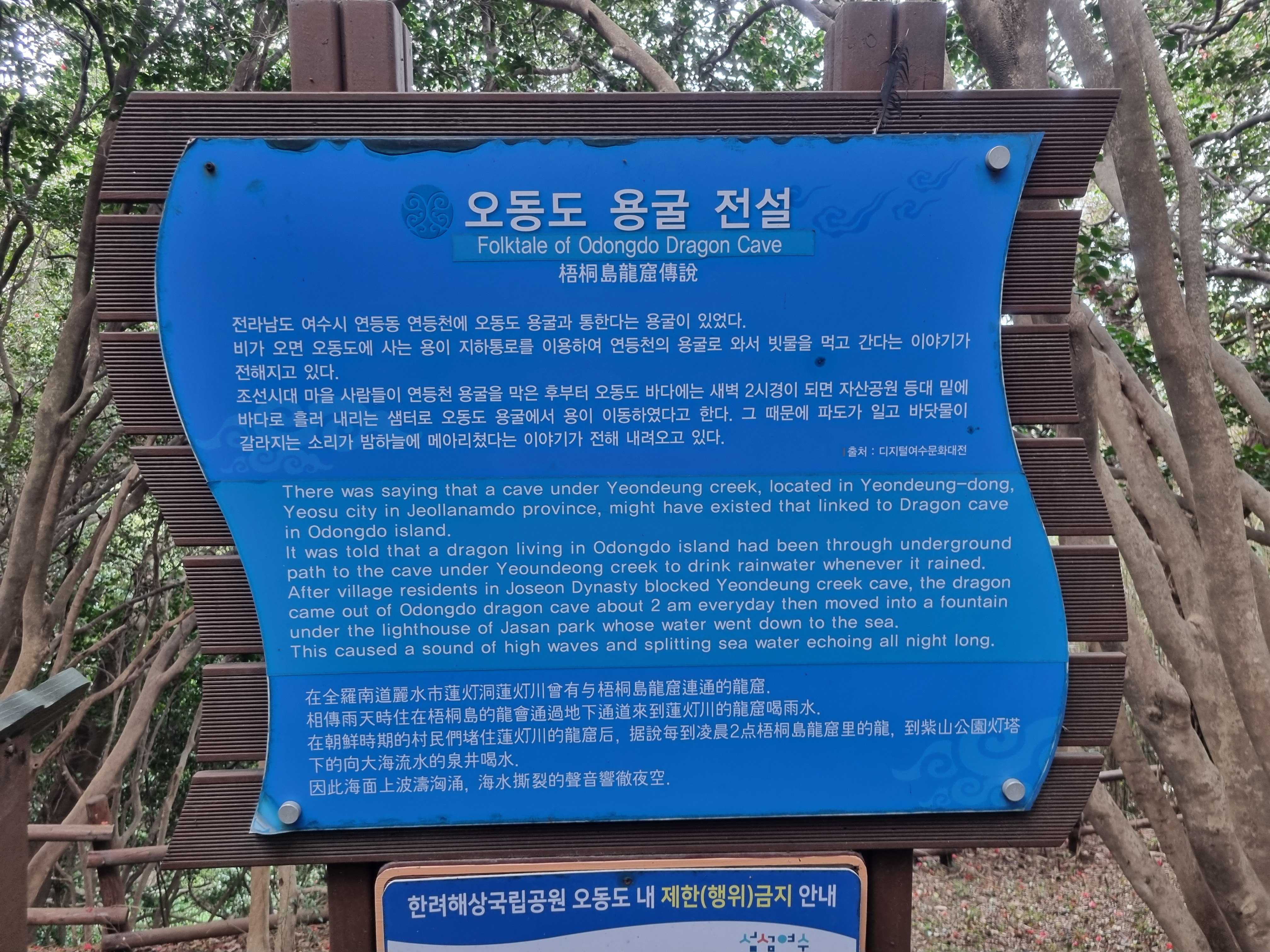 여수 오동도