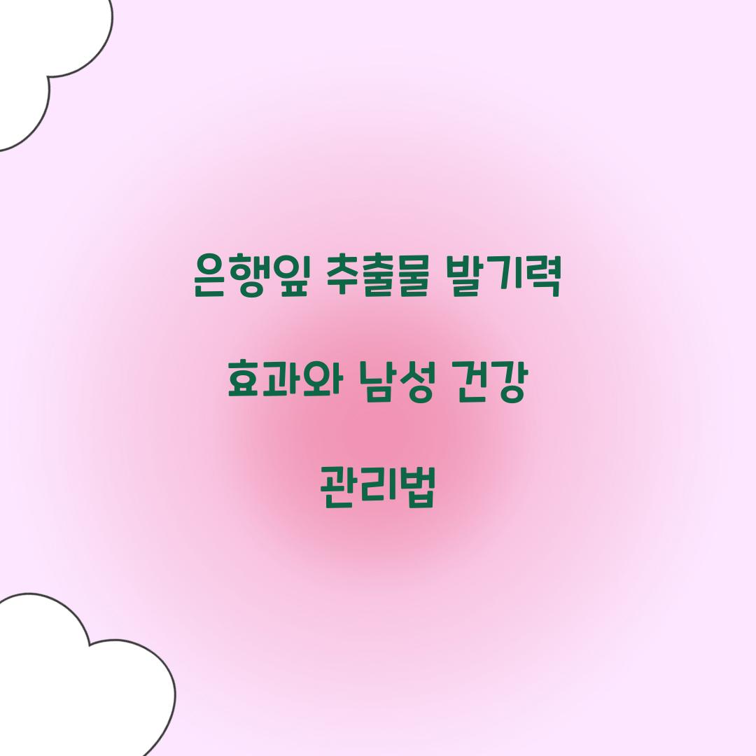 은행잎 추출물 발기력