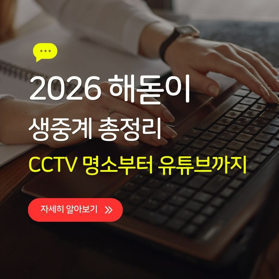 2026 해돋이 실시간 CCTV와 유튜브 생중계 정리