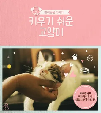 &amp;quot;고양이