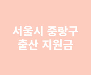 서울시 출산 지원금