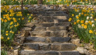 화담숲 예약 방법&amp;#44; 모노레일 시간