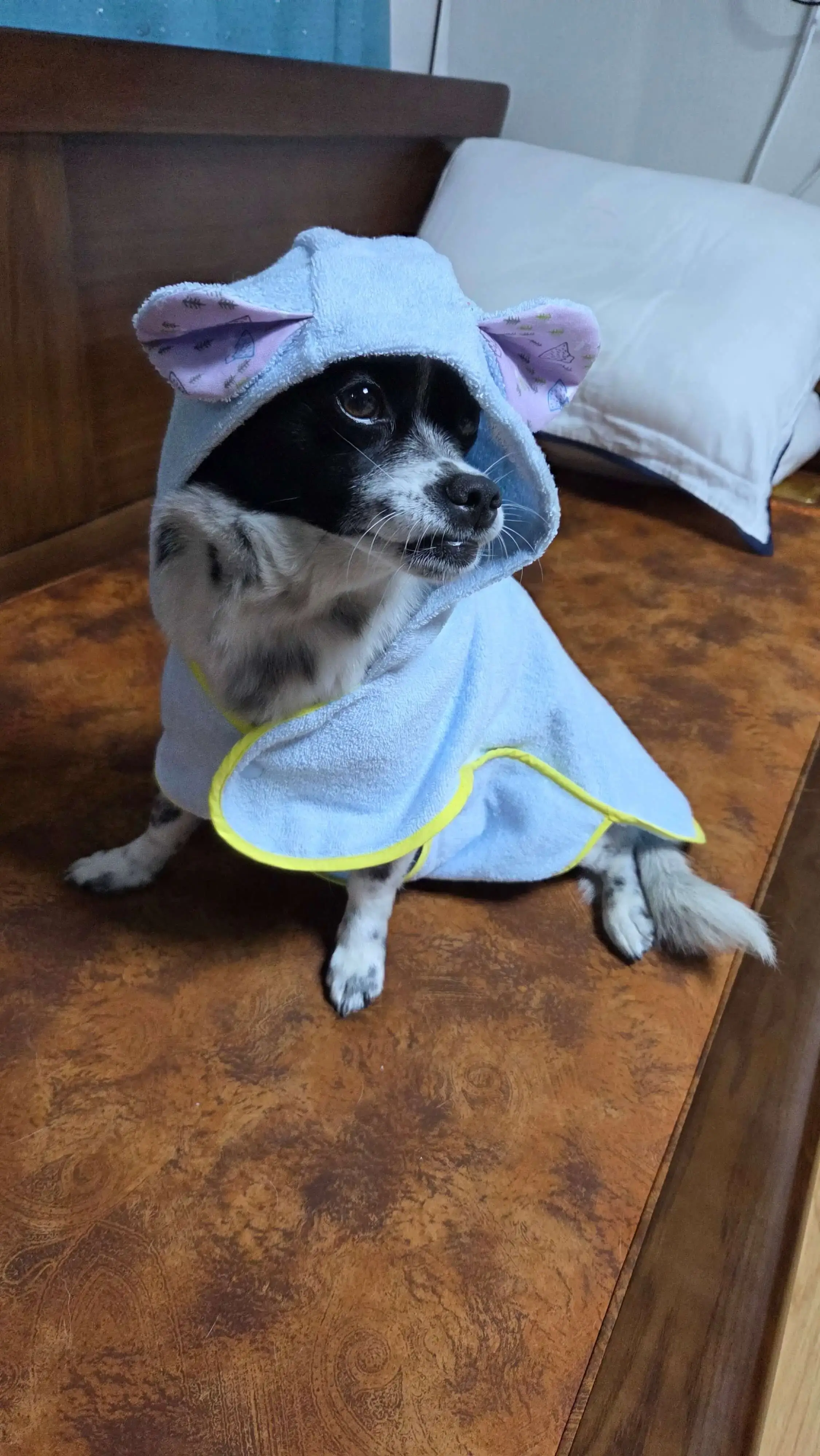 목욕가운을 입은 행복이