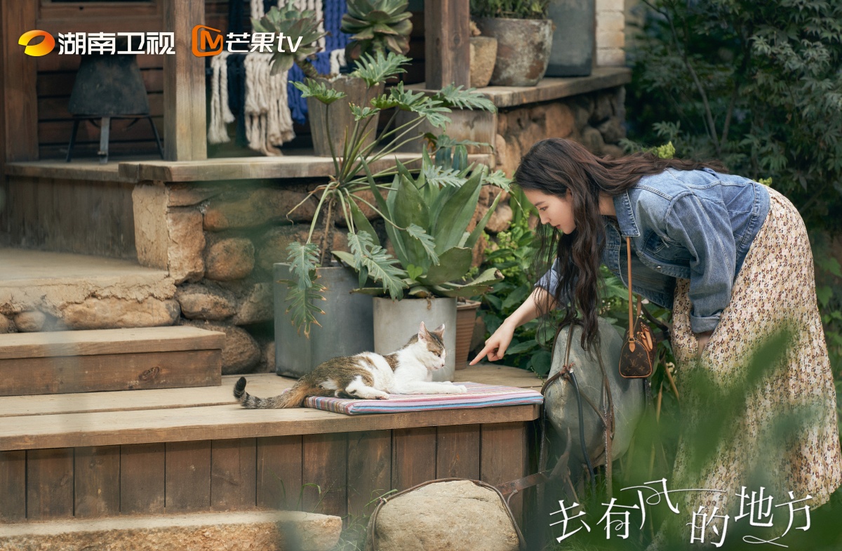 거유풍적지방-유역비-고양이랑 노는 모습