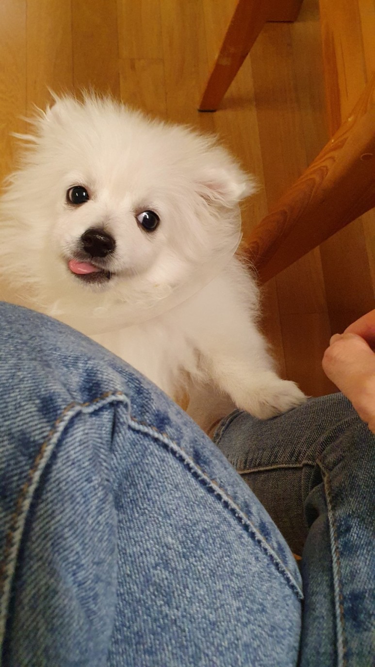 접종부작용1