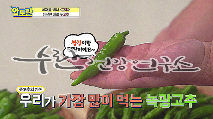 고추씨 활용법