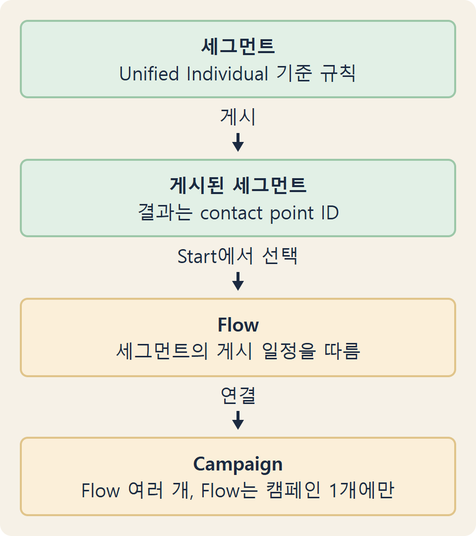 세그먼트 게시, Flow 시작, 캠페인 묶음으로 이어지는 실행 흐름 그림