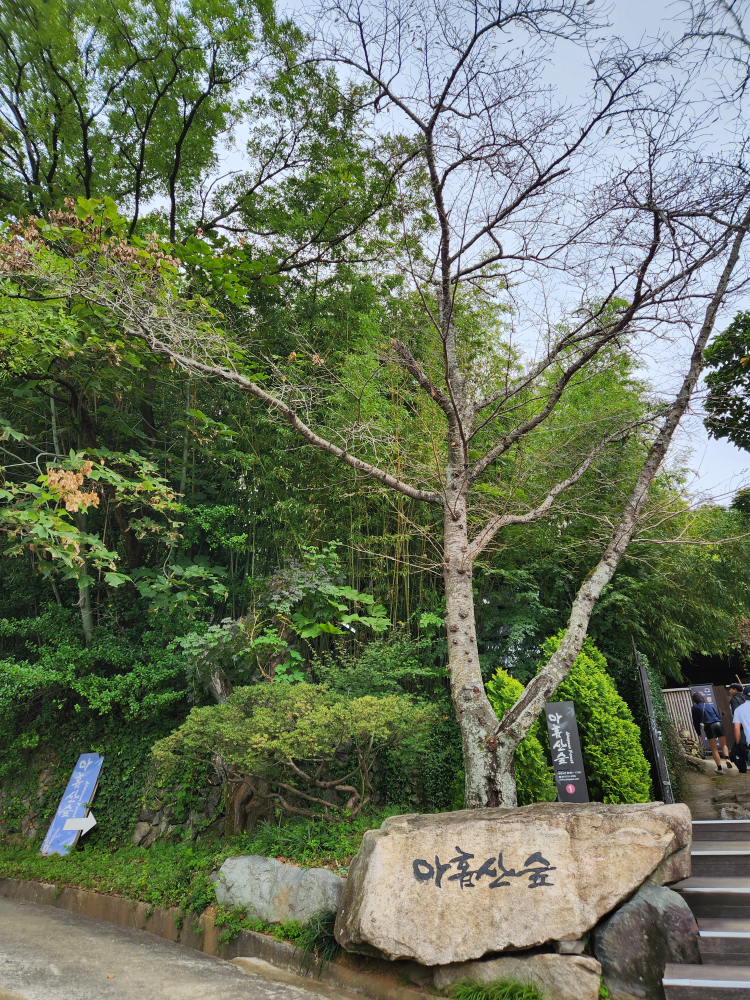 아홉산숲